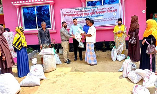 লামায় বিনামূল্যে ধান, মসল্লা ও সবজি বীজ পেল ৯৩ কৃষাণ কৃষাণী