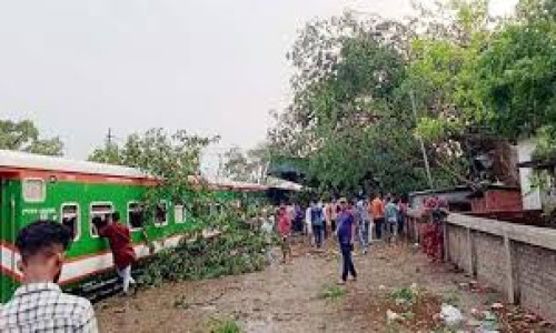 লাউয়াছড়ায় ঝড়ে গাছ পড়ে রেল ও সড়কপথ বন্ধ