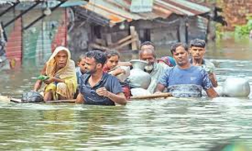 ঘুরে দাঁড়াতে চান ফেনীর সব হারানো কৃষকেরা