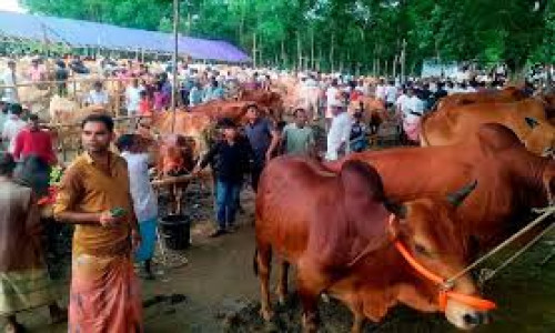 এক বছরের ইজারামূল্য ২৫ কোটি টাকা, এত ‘দামি’কেন মিয়ানমার সীমান্তের বাজারটি