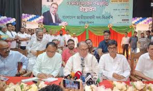 আমরা এখন বাঘের মুখে পড়েছি: মির্জা আব্বাস
