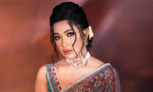আমাকে ‘র’ এজেন্ট বানিয়ে দেওয়া হচ্ছে: বাঁধন
