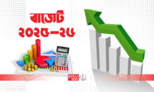 বিদ্যুতের দাম আপাতত না বাড়ানোর সিদ্ধান্ত: অর্থ উপদেষ্টা