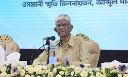 কথার ফুলঝুরি ছড়িয়ে বাজেট করিনি: অর্থ উপদেষ্টা