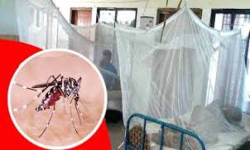 ৭ ঘণ্টার ব্যবধানে বরগুনায় ডেঙ্গুতে আরেকজনের মৃত্যু